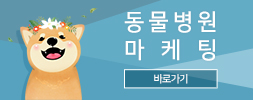 동물병원마케팅